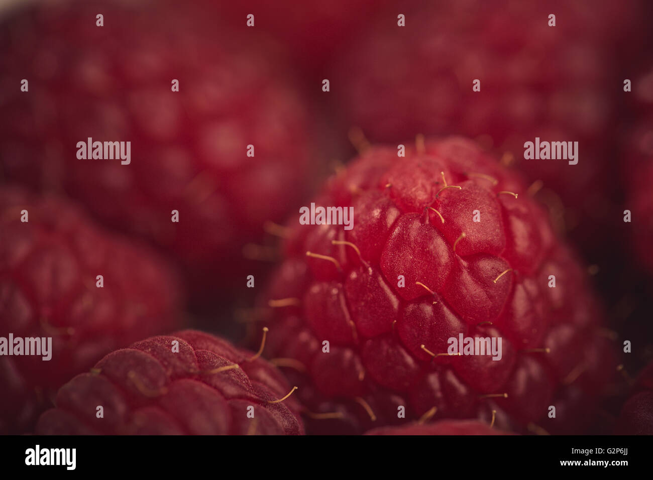 Montón de frambuesas rojas maduras frescas del jardín Foto de stock