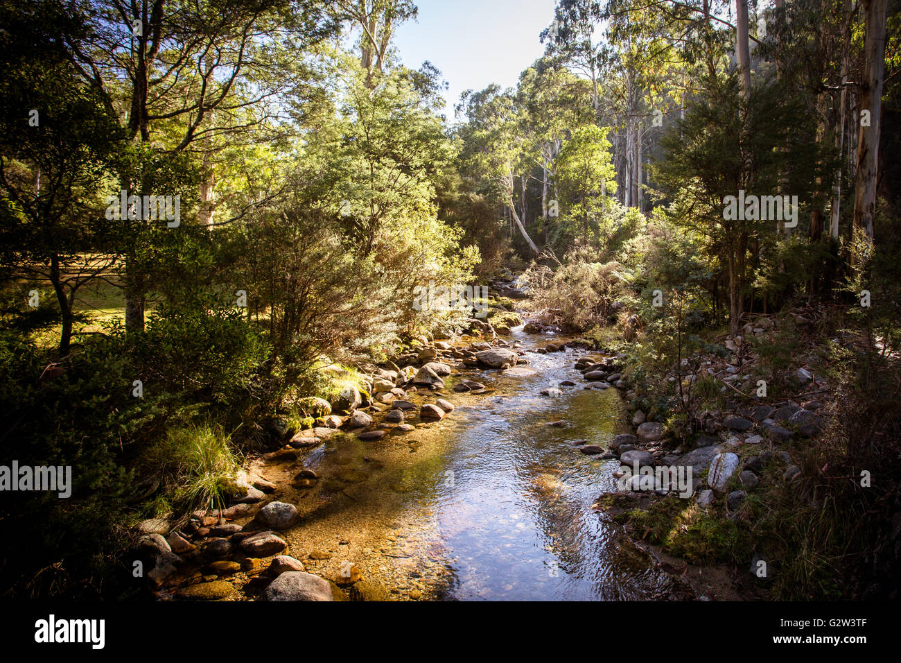 Camisa de cuero Creek cerca de Thredbo, en Nueva Gales del Sur, Australia Foto de stock