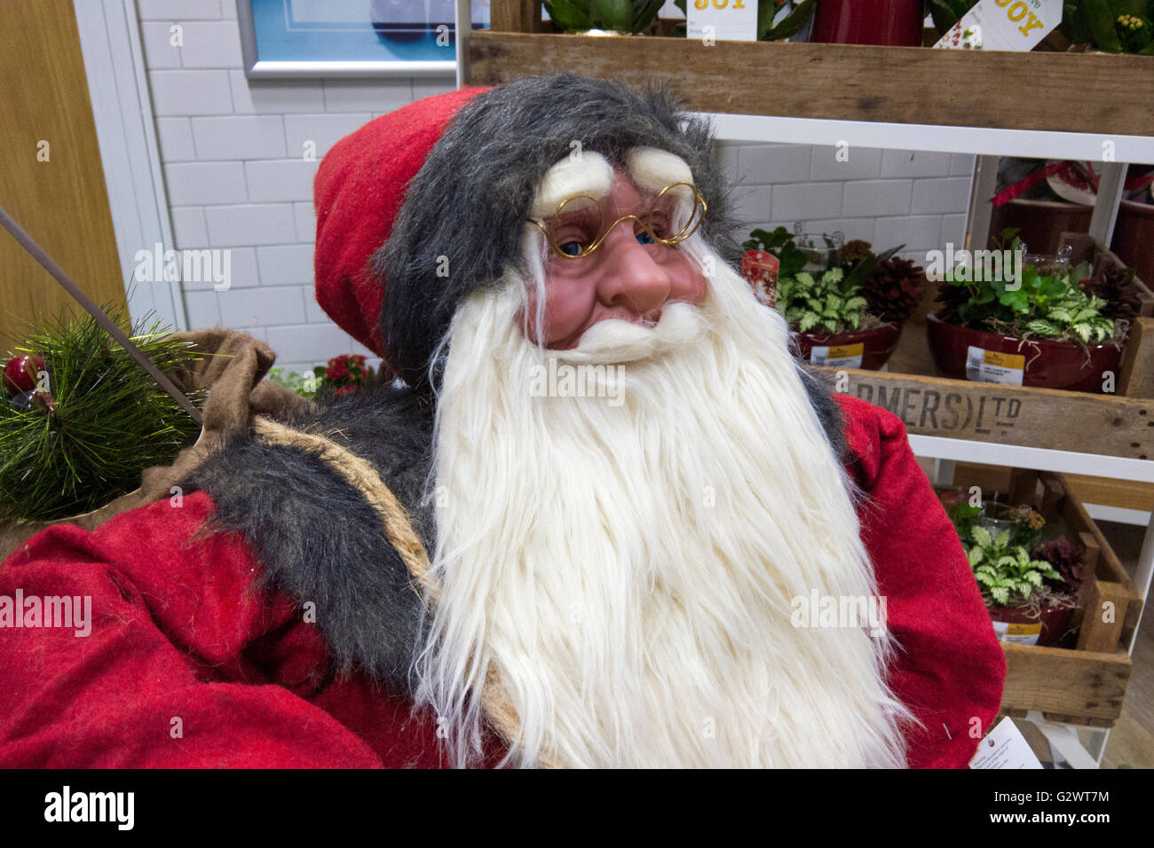 Una gran Santa Clause en exposición para la venta en un centro de jardinería. Foto de stock