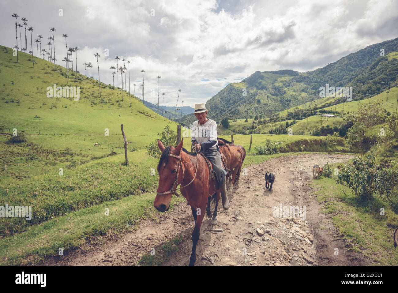 El granjero local en el Valle de Cocora cerca de Salento, Colombia Foto de stock