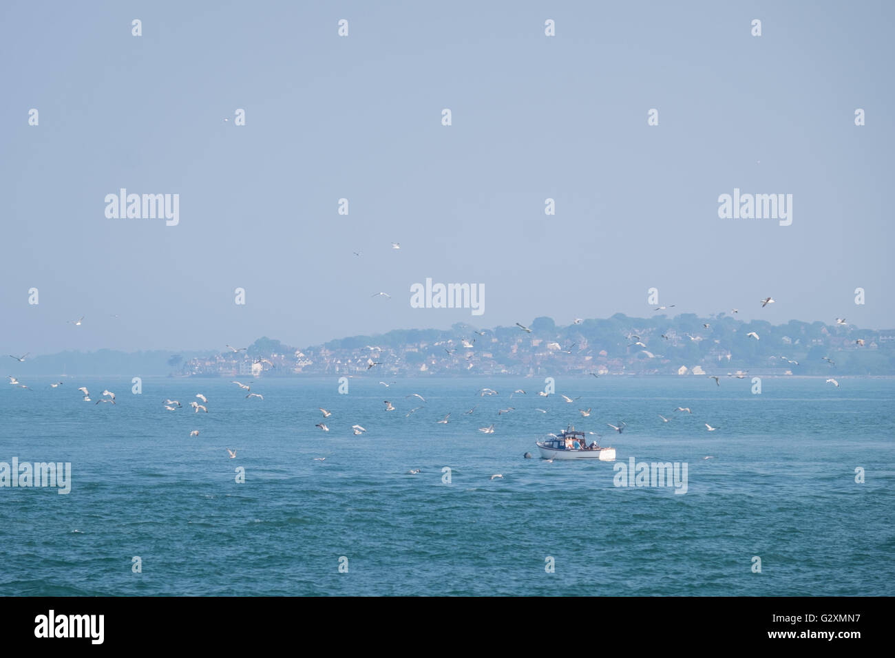 Un pequeño barco rodeado por las gaviotas pescando en el Solent. Vistas al mar y a la Isla de Wight puede ser visto en la distancia. Foto de stock