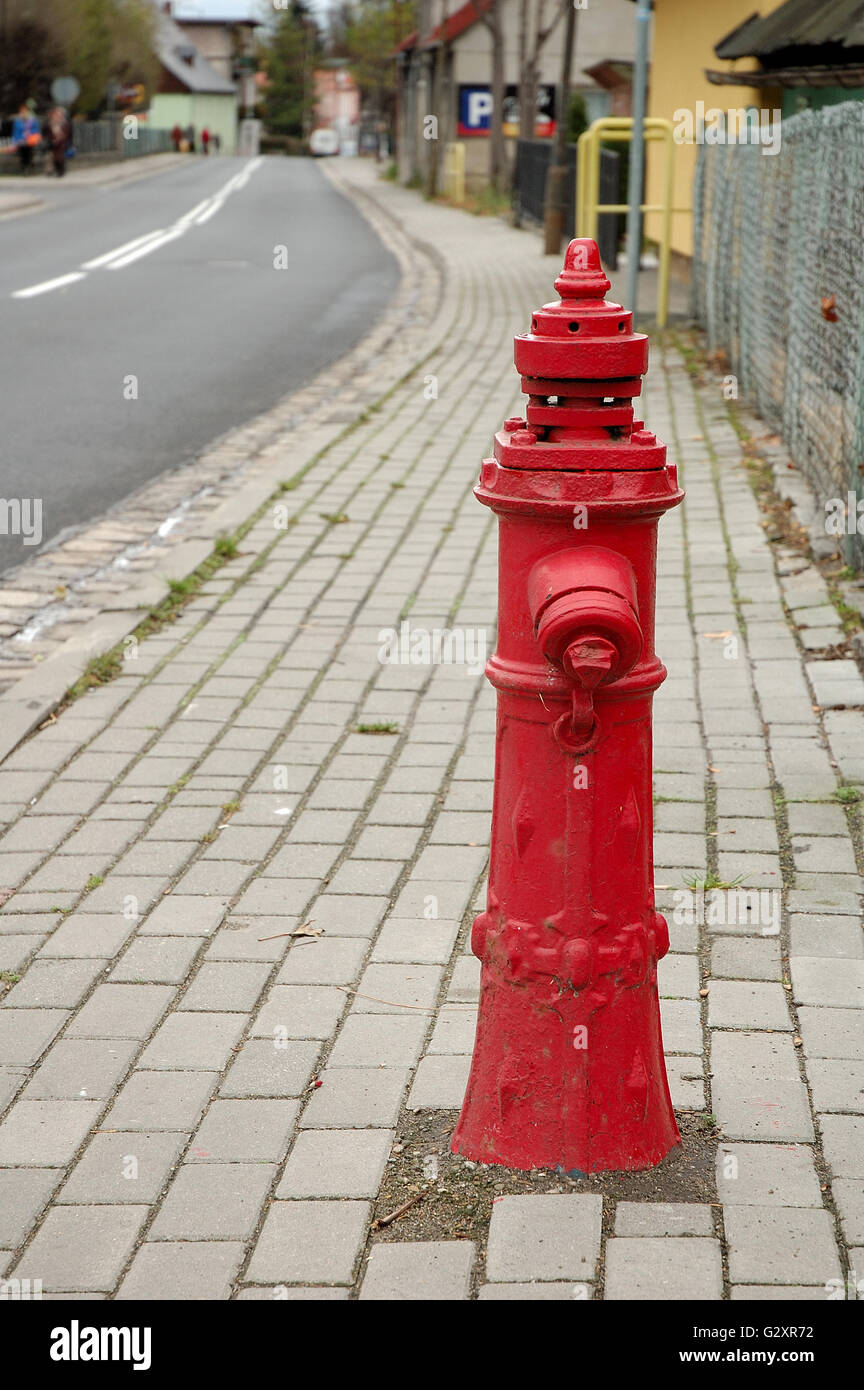 Rojo permanente hydrand vieja en la calle Foto de stock