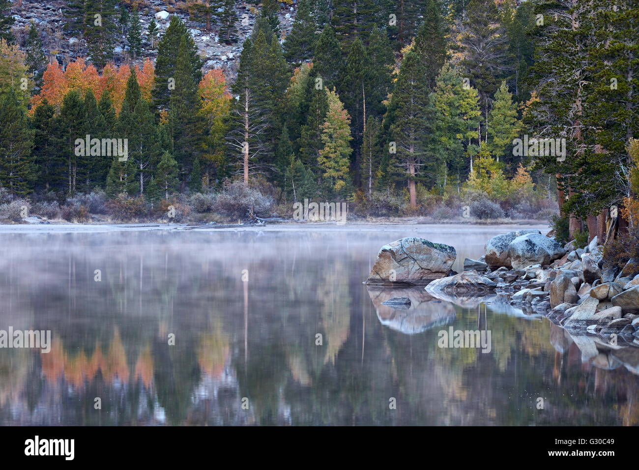 Rock Creek Lake en el otoño con niebla, Inyo National Forest, California, Estados Unidos de América, América del Norte Foto de stock