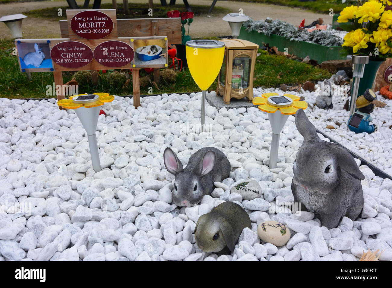 Cementerio de mascotas : tumba de un conejo enano, Austria, Wien 11, Wien, Viena. Foto de stock