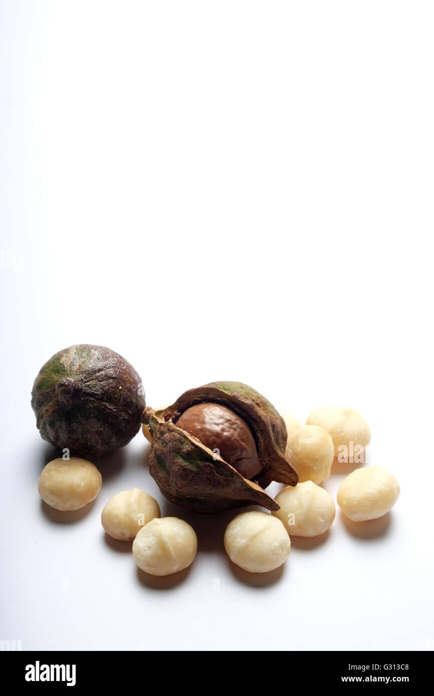 Nueces de macadamia Foto de stock