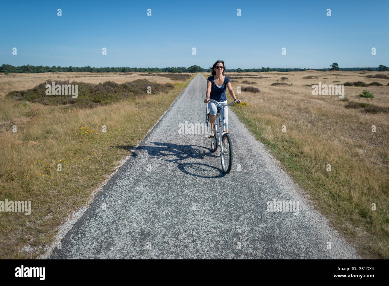 Arnhem, Países Bajos, ciclista en Nationaal Park De Hoge Veluwe Foto de stock