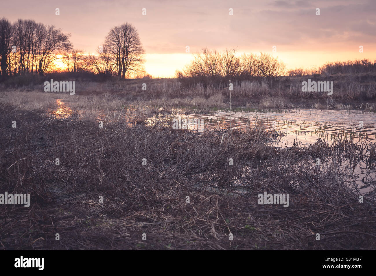 Pintoresco paisaje rural durante la puesta de sol en el campo río cercano con el reflejo del sol sobre la superficie del agua Foto de stock