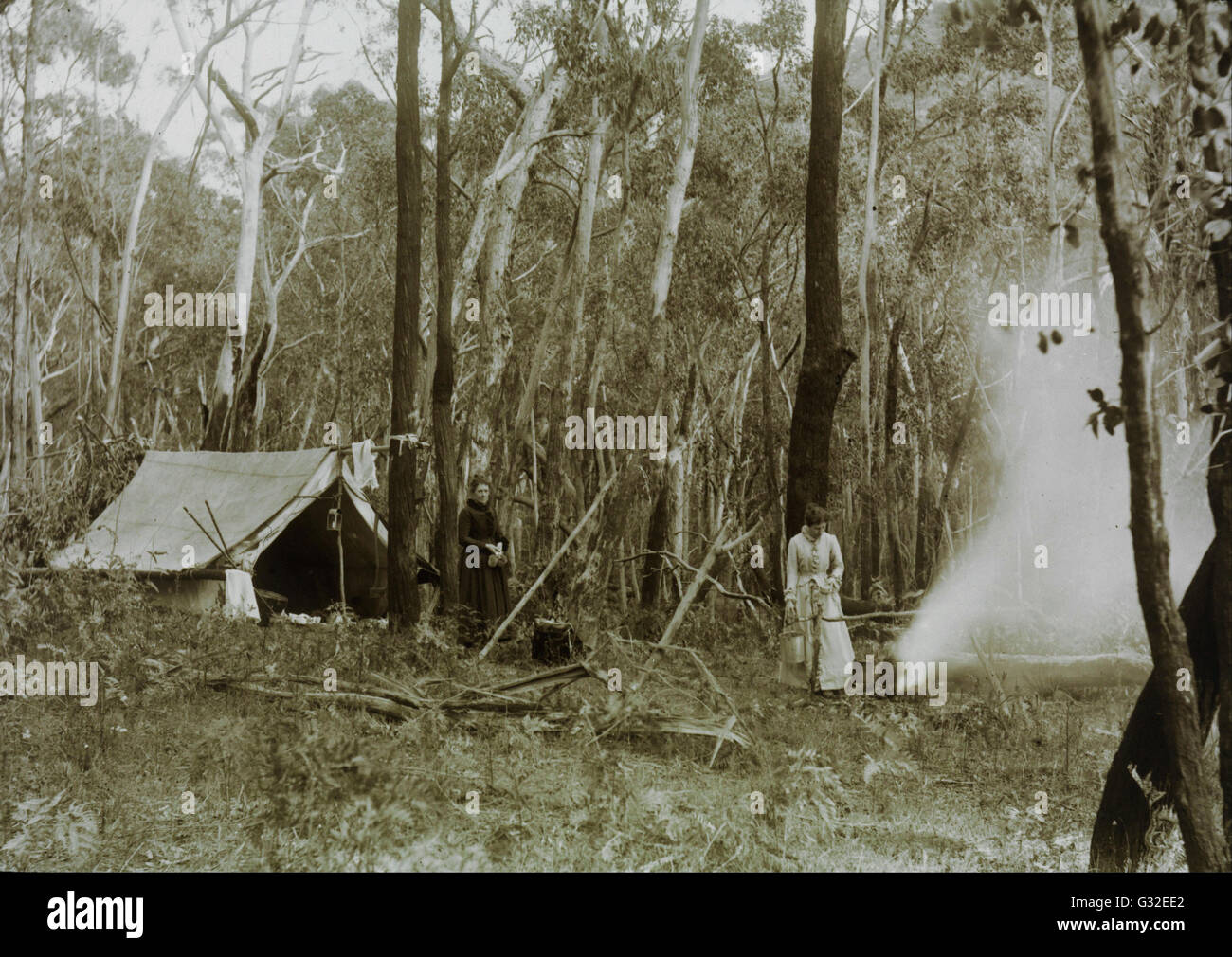 Archibald James Campbell - mujeres pioneras en el desbroce de la tierra - El museo Victoria, Carlton Australia Foto de stock