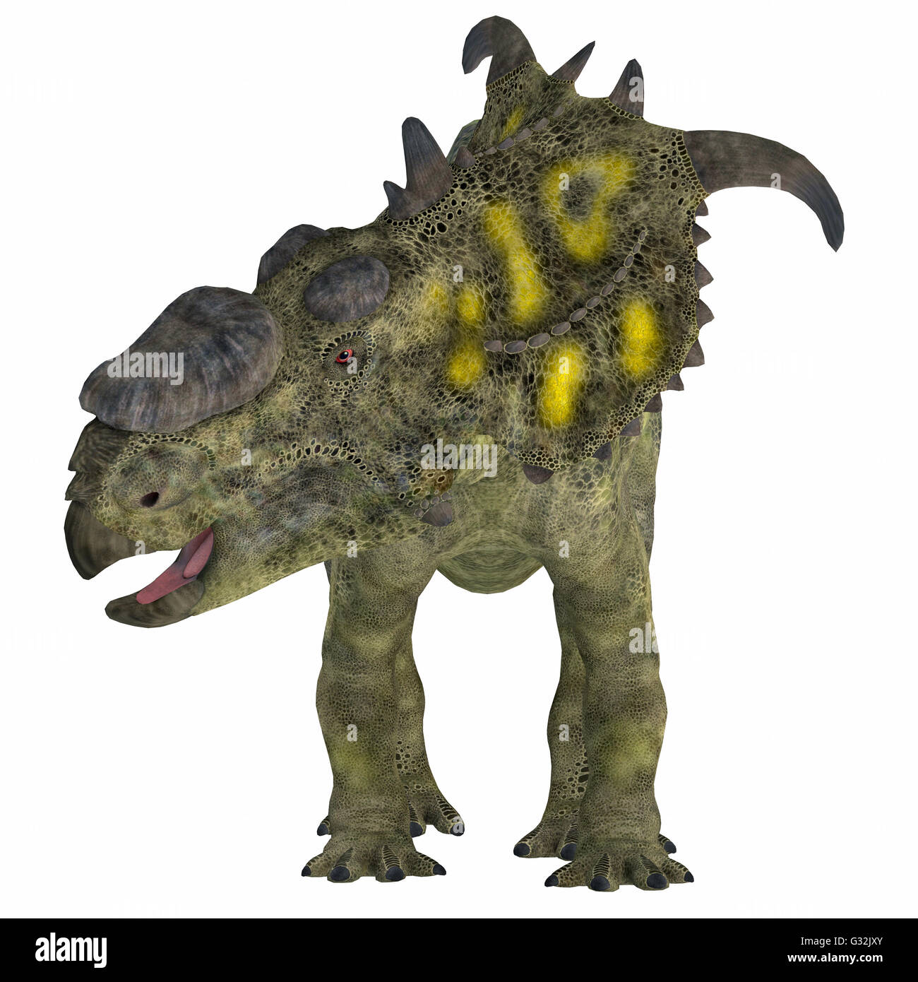 Pachyrhinosaurus ceratopsid fue un dinosaurio herbívoro que vivió en el período Cretácico de Alberta, Canadá. Foto de stock