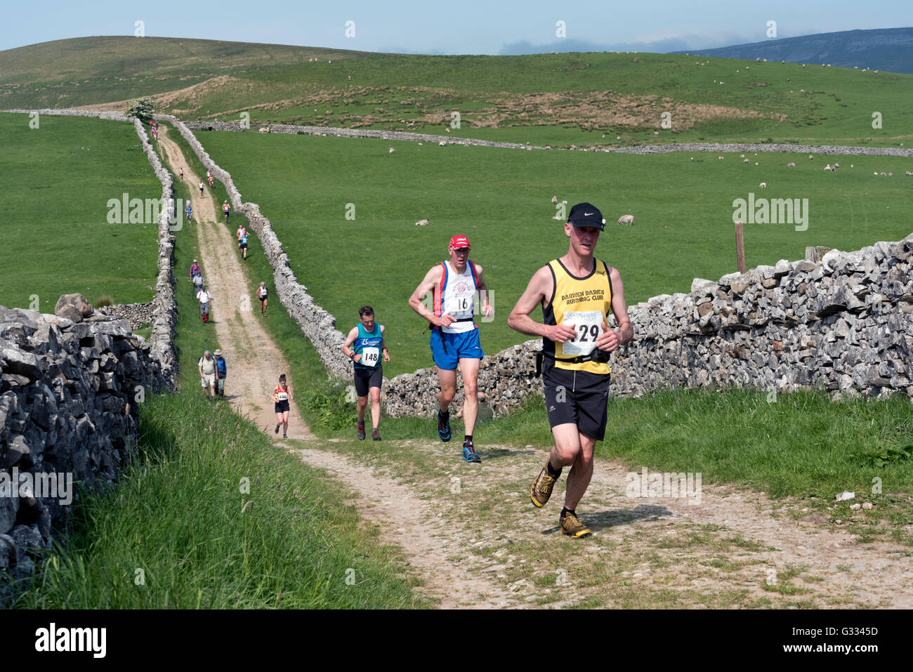 Los corredores en el Pennine tomando parte en el Horton en Ribblesdale Gala cayó la raza, Yorkshire Dales National Park, junio de 2016 Foto de stock