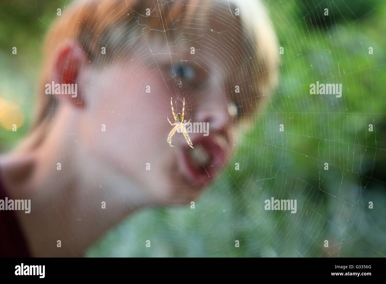 Torre Alfina, Italia, el muchacho tiene miedo delante de una araña Foto de stock