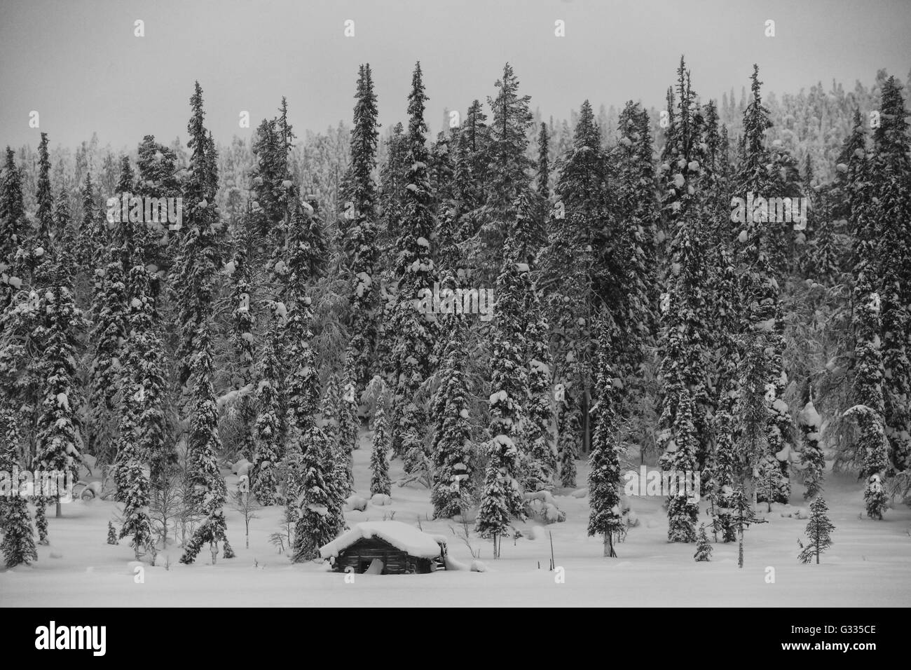 ?K skero, Finlandia, nevado cabañas de madera delante de un bosque de coníferas Foto de stock