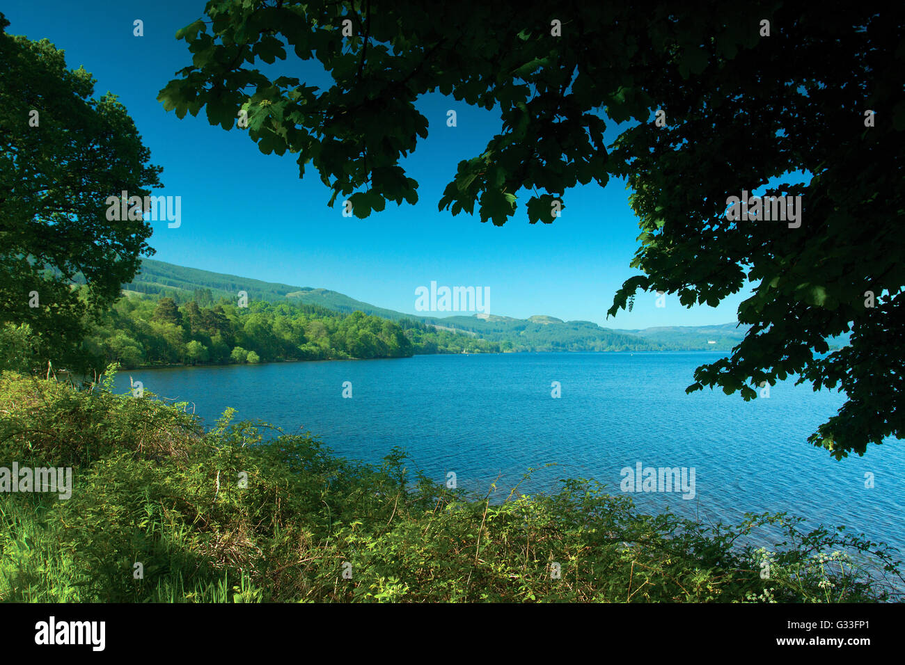 Loch Venachar, Loch Lomond y los Trossachs National Park, Stirlingshire Foto de stock