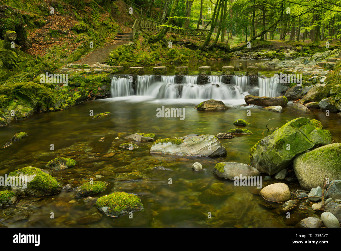 Durante el Shimna Stepping Stones River en Tollymore Park en Irlanda del Norte. Foto de stock