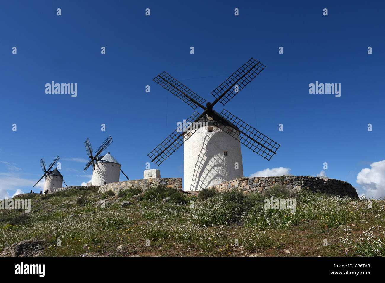 Antiguos molinos de viento en Consuegra la Ruta de Don Quijote en Castilla La Mancha España Europa Foto de stock