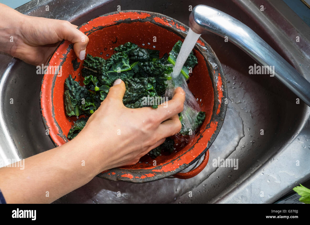 Kale Toscano picada lavar bajo el grifo en un colador rojo Foto de stock