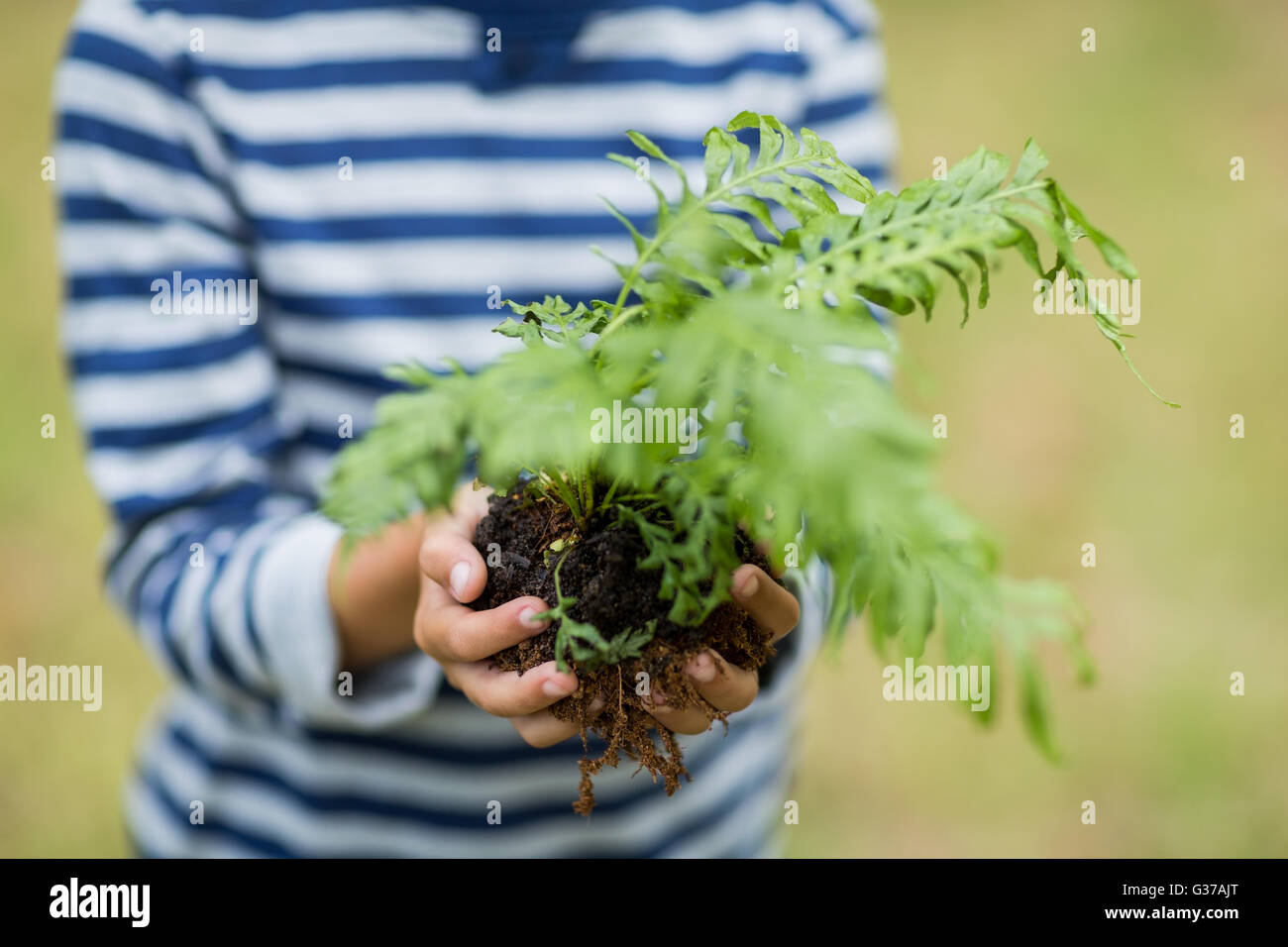 Niño sosteniendo retoño plant Foto de stock