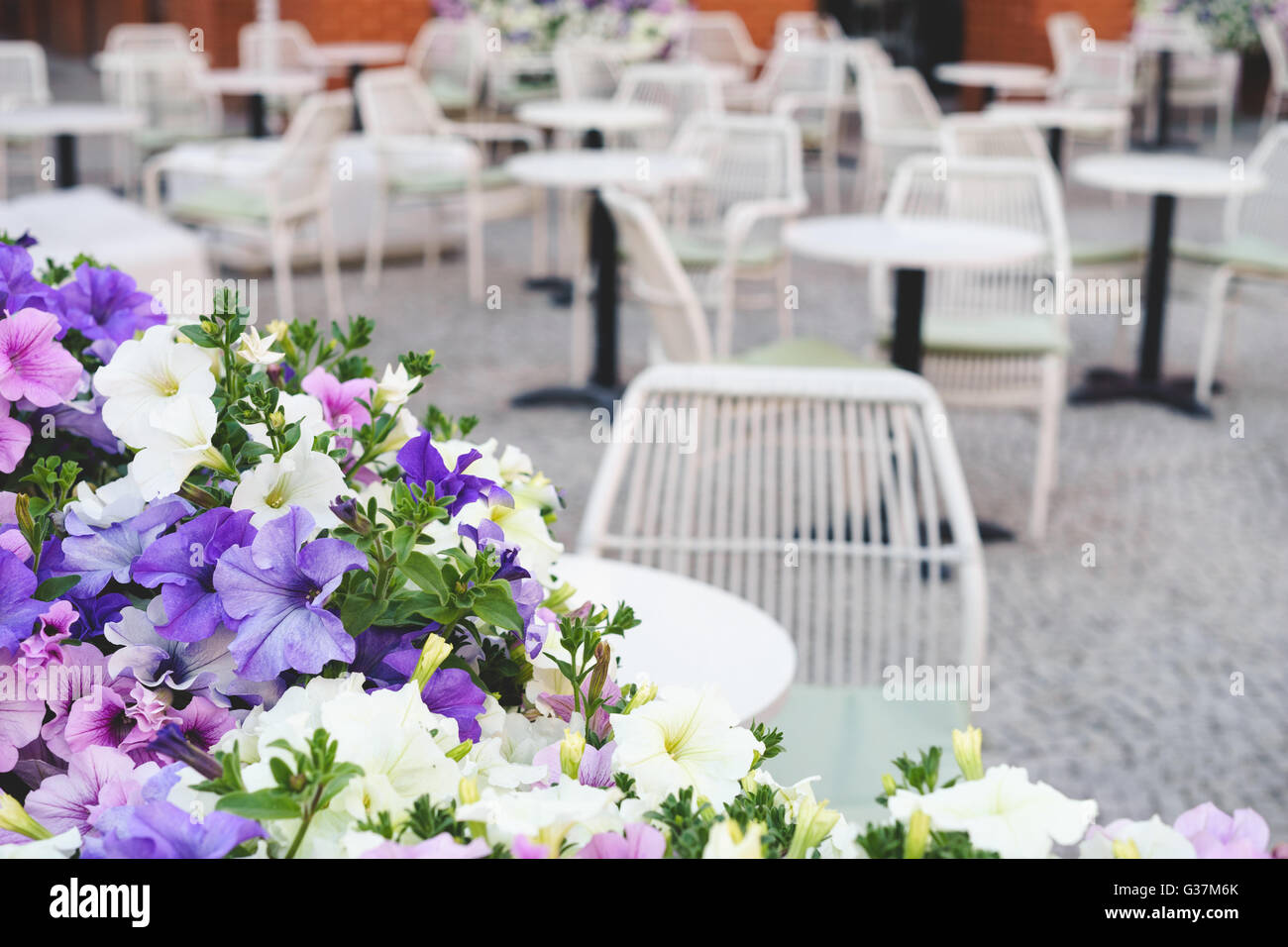 Colorida calle petunia flores en frente de íntima piscina restaurante Foto de stock