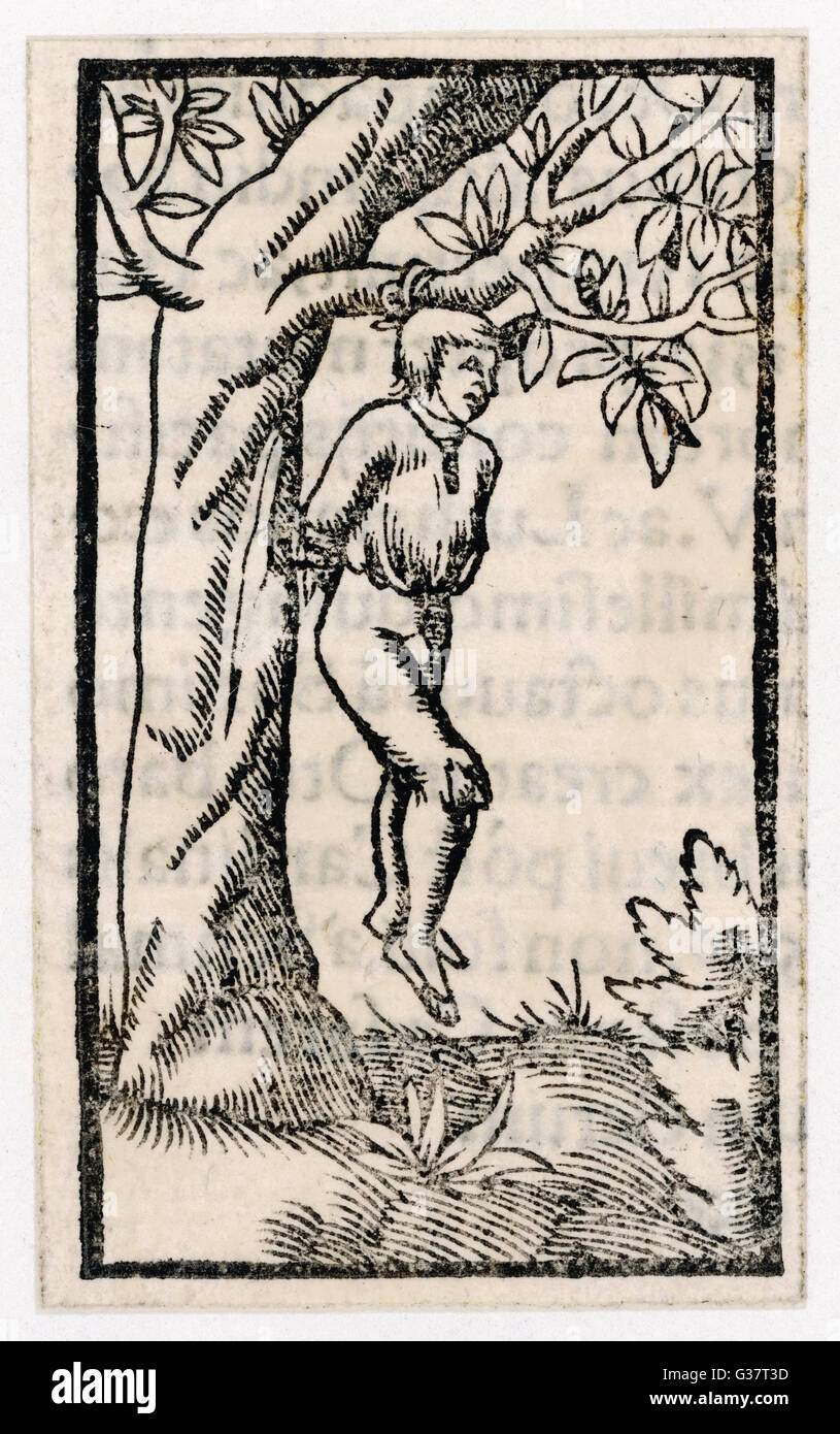 El preso es colgado de un árbol. Fecha: siglo XVI Foto de stock