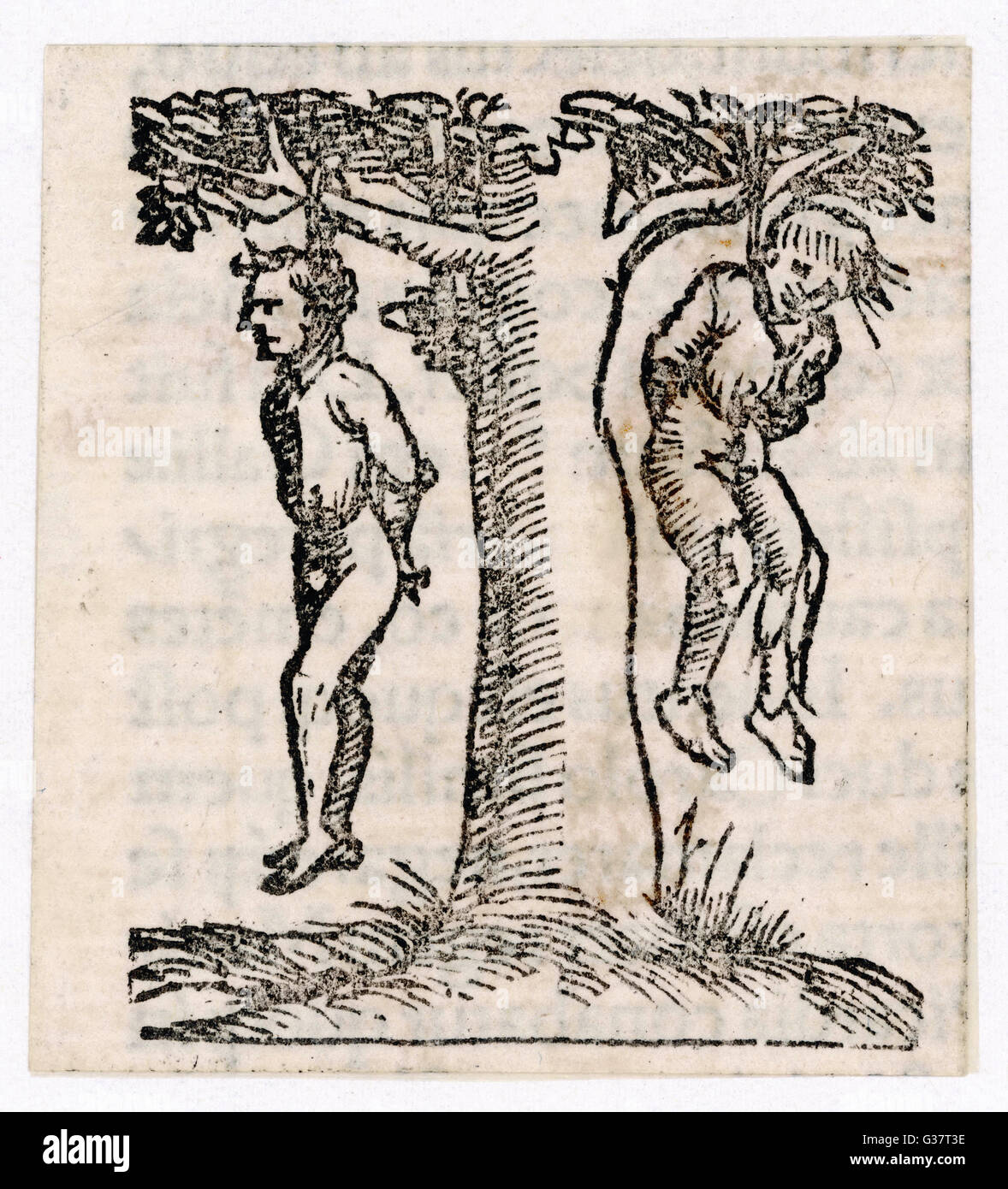 Dos presos ahorcado en un árbol. Fecha: siglo XVI Foto de stock