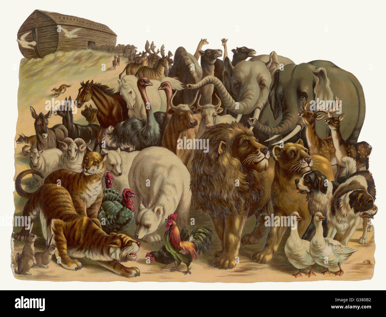 Los animales surgen de dos en dos en el Arca de Noé Foto de stock