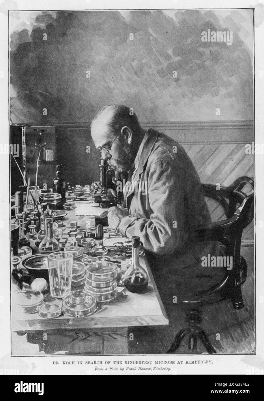 HEINRICH HERMANN Robert Koch, médico alemán y pionero bacteriólogo en busca del microbio de la peste bovina en Kimberley Fecha: 1843 - 1910 Foto de stock