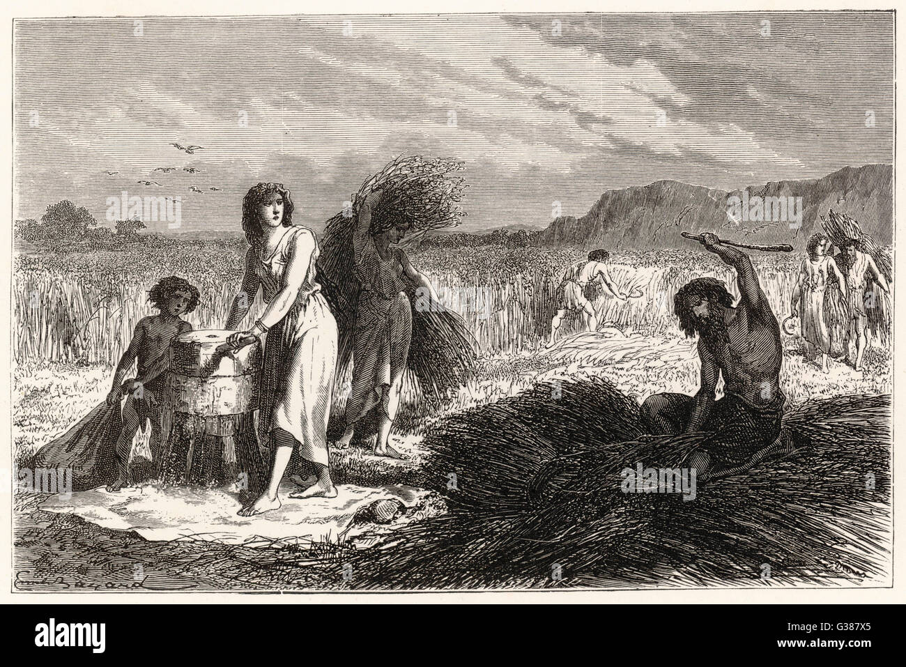 La agricultura de la edad de hierro - cosecha maíz Fecha: circa 1000 A.C. Foto de stock