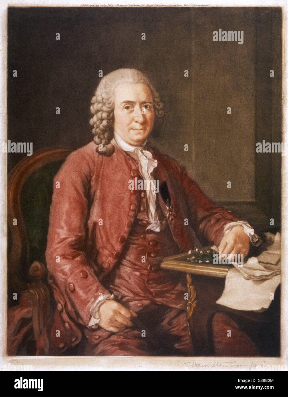 CARL VON LINNE conocido como Linneo naturalista sueco y botánico. Fecha: 1707-1778 Foto de stock