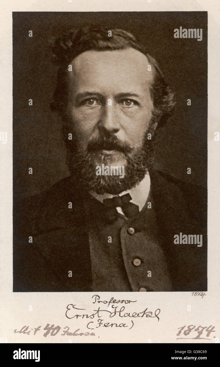 ERNST HAECKEL científico alemán a la edad de 40 años Fecha: 1834 - 1919 Foto de stock