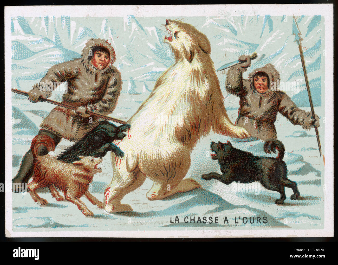 Los esquimales caza un oso polar Fecha circa 1900 Fotografía de stock Alamy