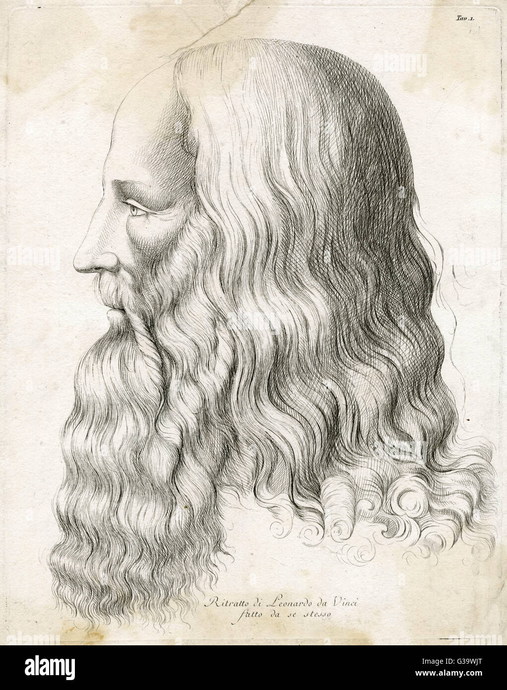 El artista italiano LEONARDO DA VINCI: autorretrato en el perfil Fecha: 1452 - 1519 Foto de stock