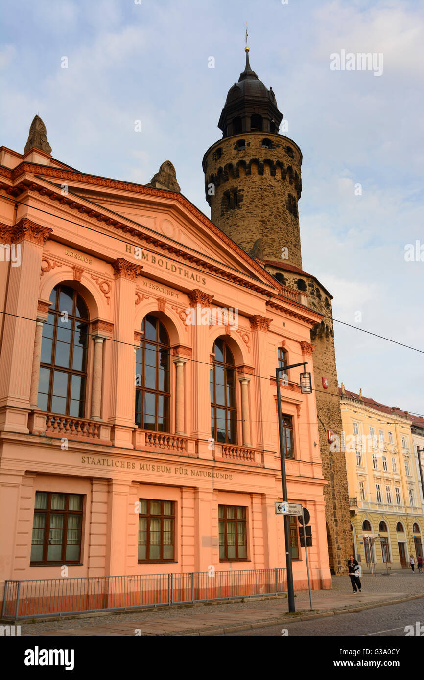 Museo de Historia Natural y la torre Reichenbacher Turm, Alemania, Sajonia, Sajonia, , Görlitz Foto de stock