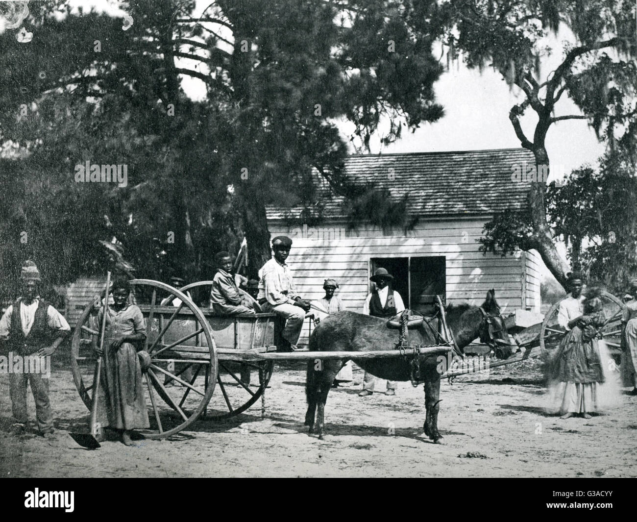 Los esclavos en la plantación de James Hopkinson en Edisto Island, Carolina del Sur. Foto de stock