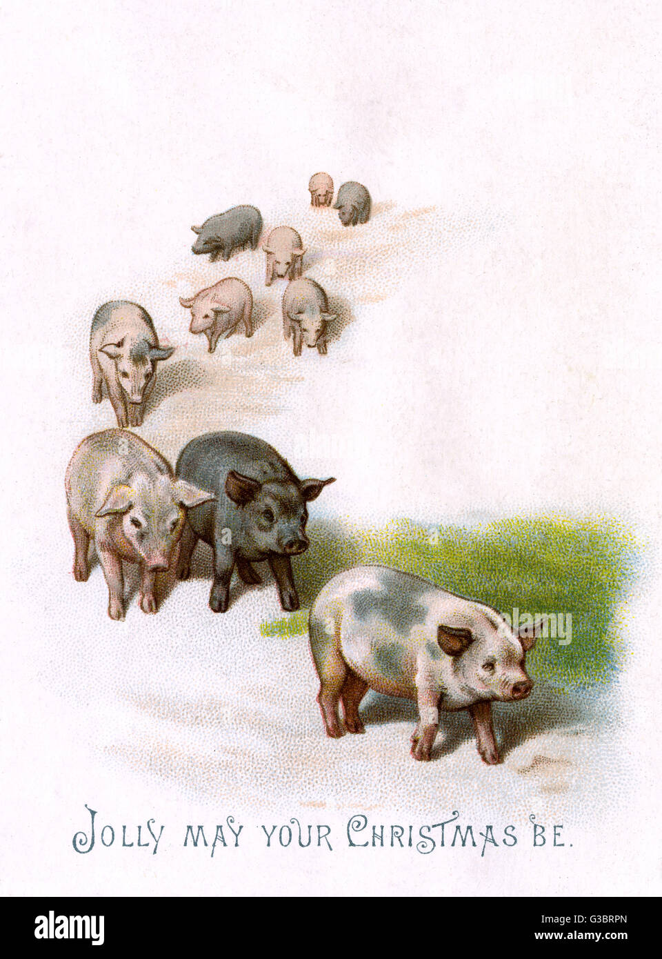 Los cerdos al trote después de uno a otro con un saludo de Navidad - Jolly Mayo su Navidad. Fecha: c.1890 Foto de stock