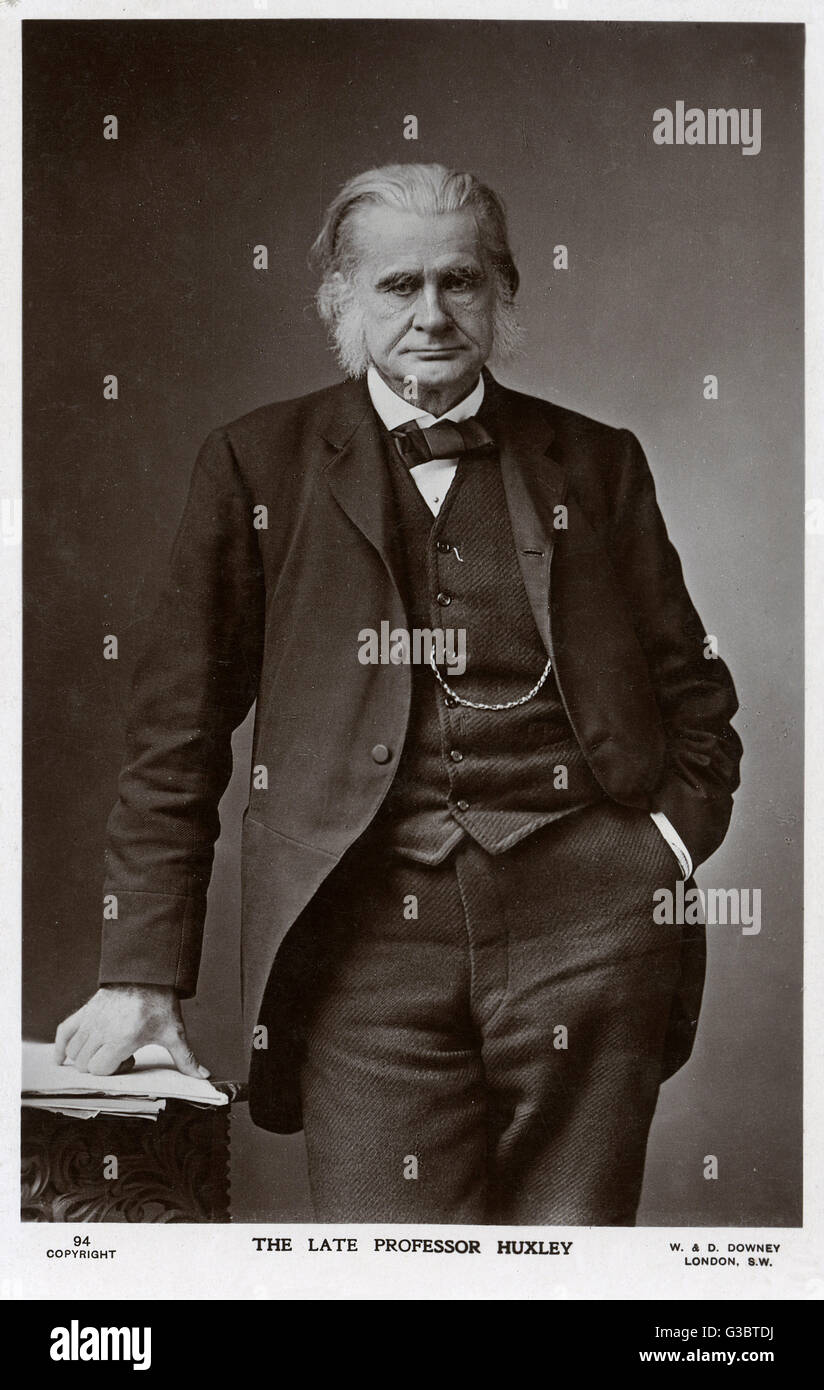 Thomas Henry Huxley (18251895), científico inglés, campeón de la