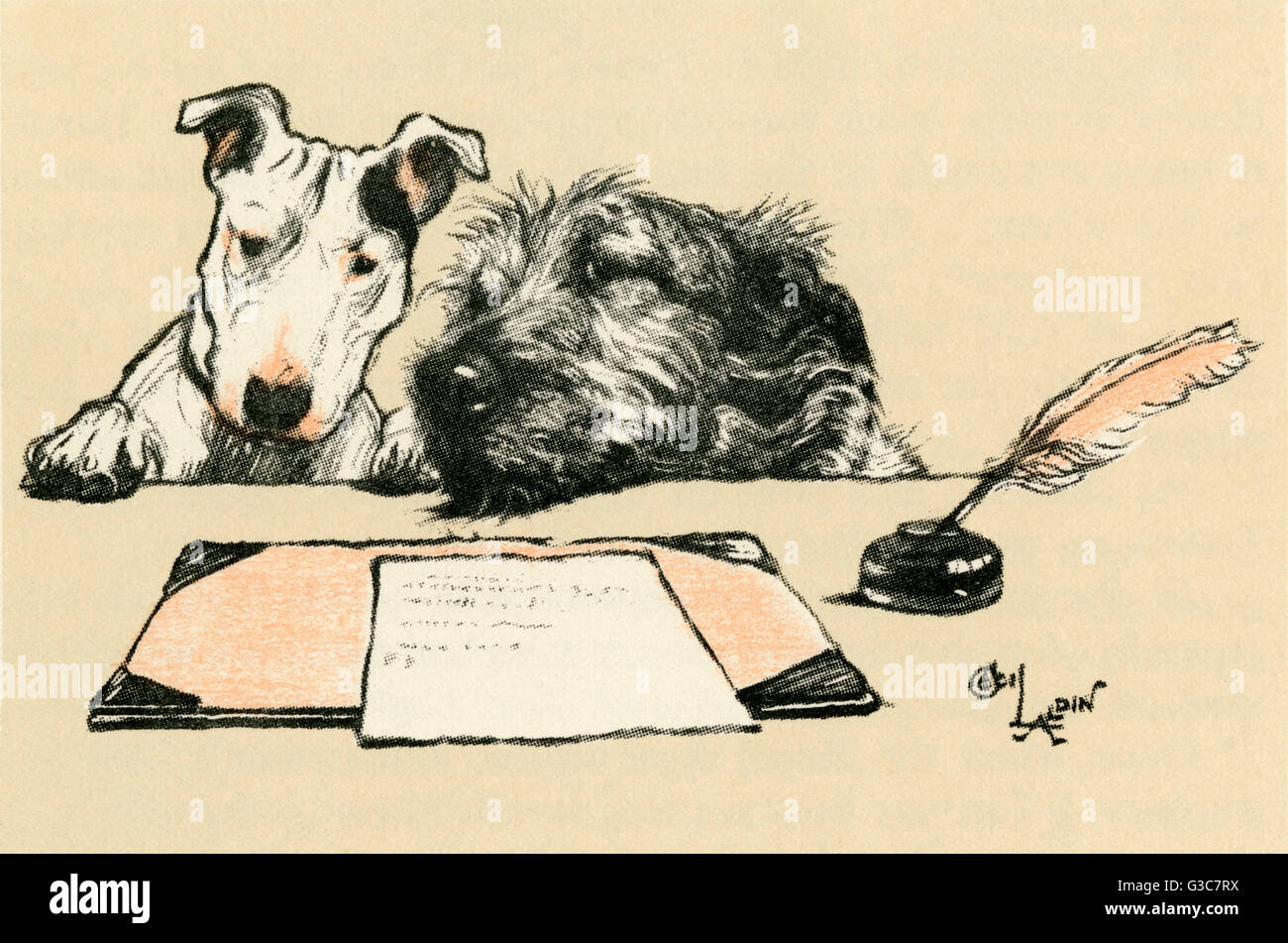 Ilustración por Cecil Aldin, Micky y Cracker, un Wolfhound irlandés y un Bull Terrier. Visto aquí detrás de su escritorio, con un secante, tintero y pluma en la tapa superior. Fecha: 1927 Foto de stock