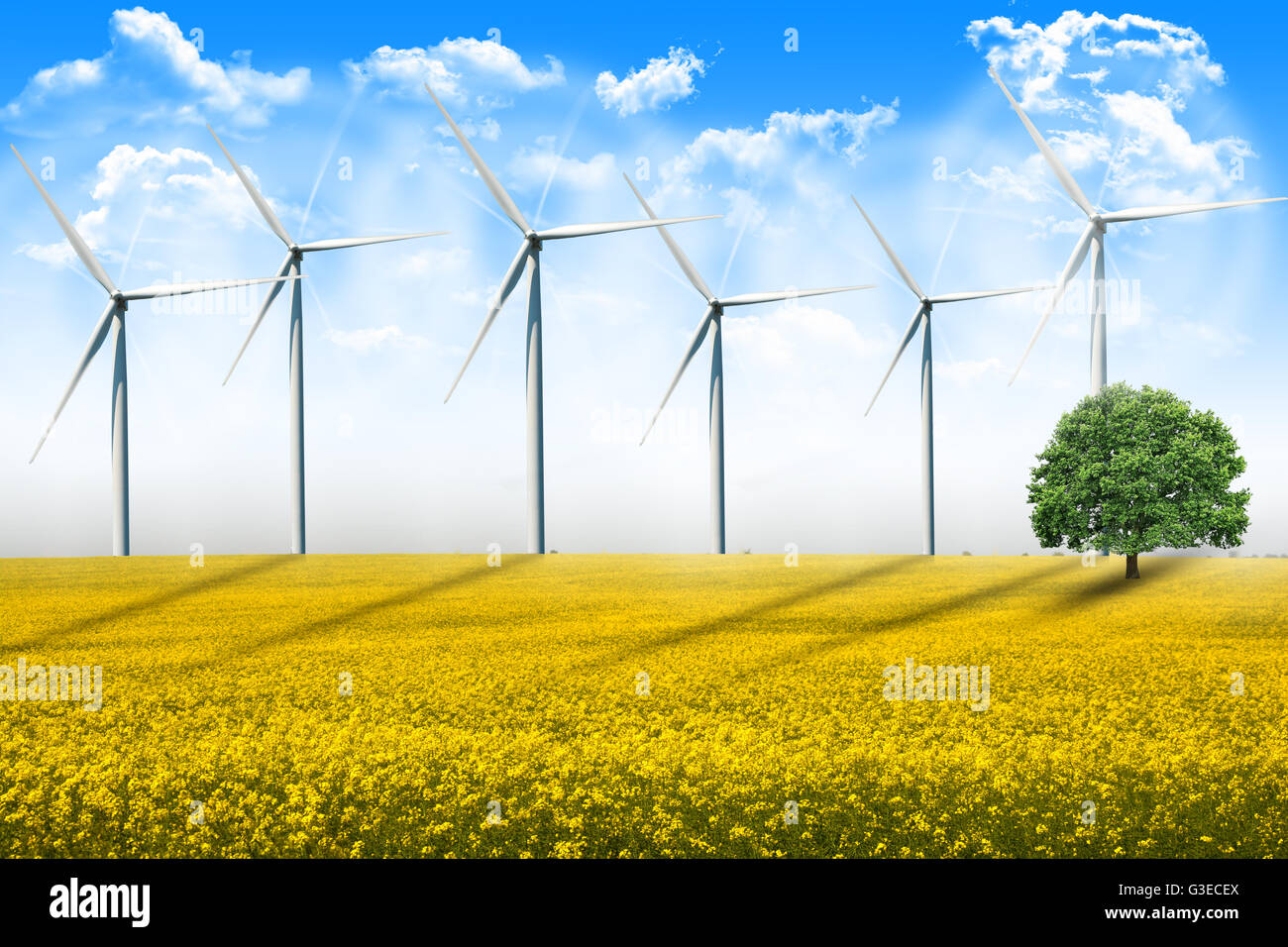 Las turbinas de energía eólica girando en terreno agrícola en un día de verano Foto de stock