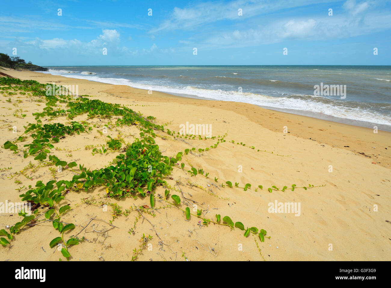 Con la playa de dunas de arena, la autopista Captain Cook, Queensland, Australia Foto de stock