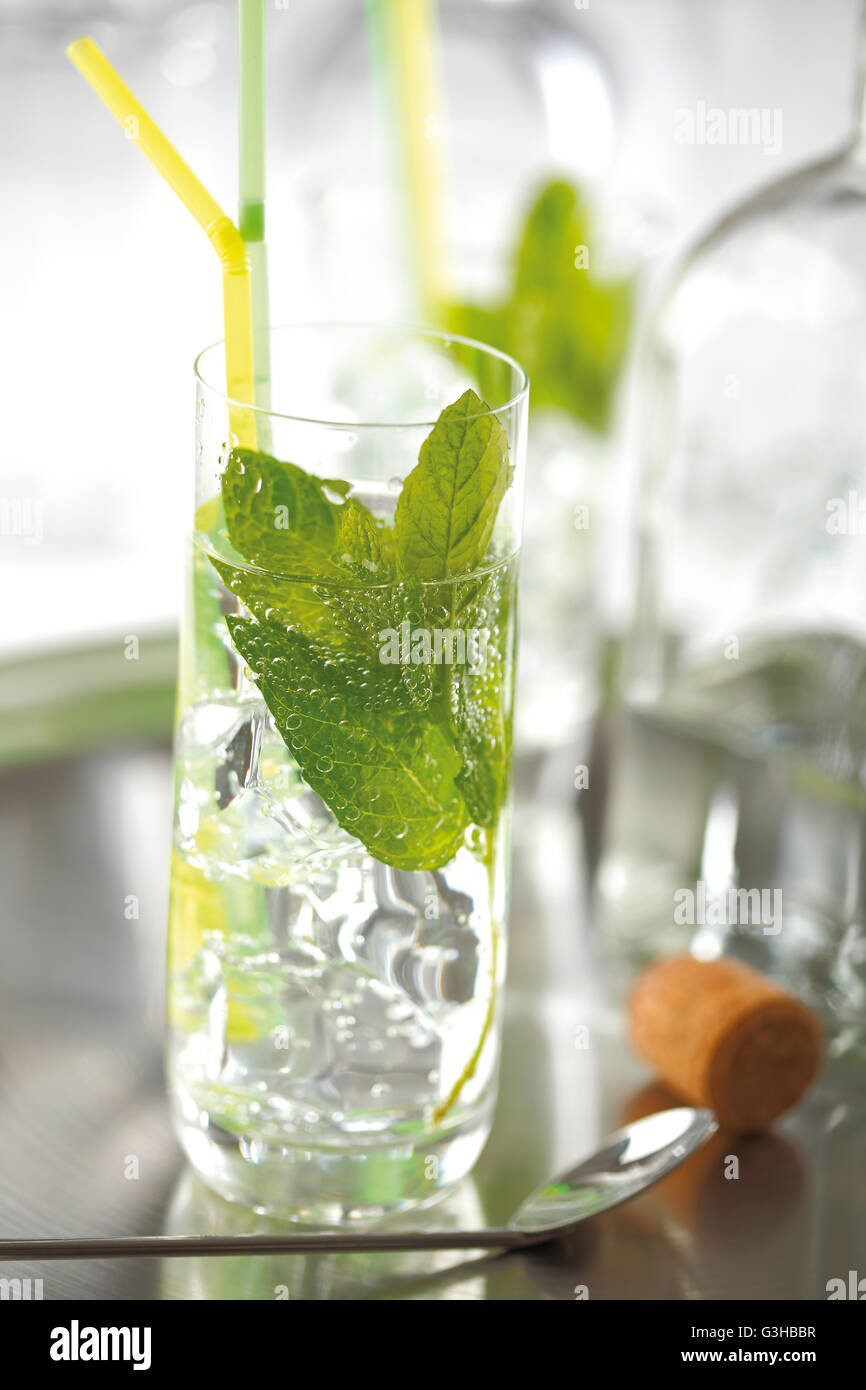 Mojito cóctel en el estilo de La Bodeguita del Medio, preparado con ron,  limón, hojas de menta, hielo y agua mineral con gas Fotografía de stock -  Alamy