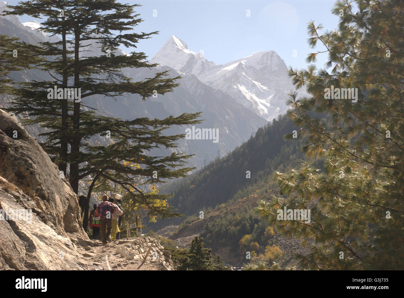 El Parque Nacional de Gangotri y trekking trail hasta Gaumukh, la