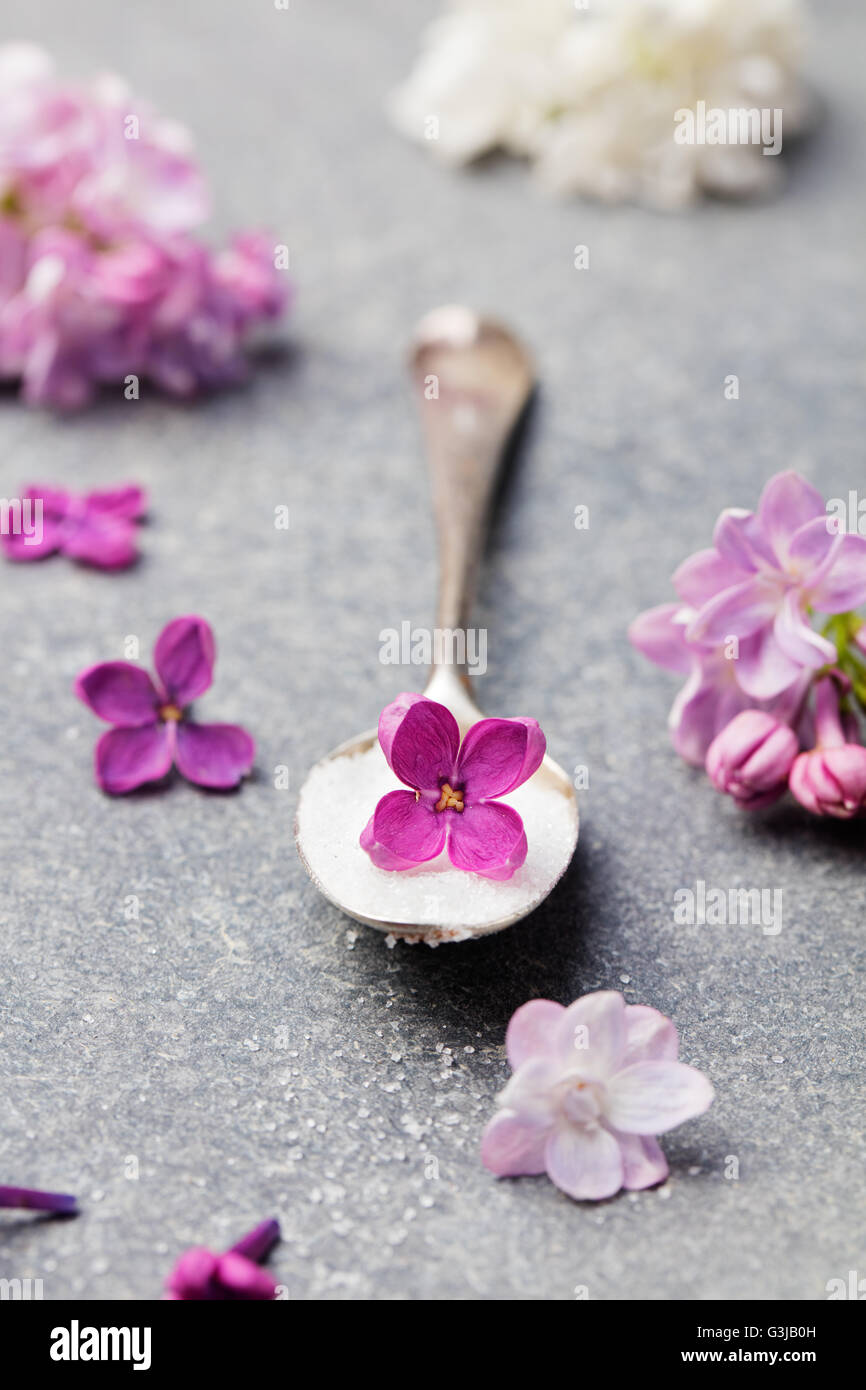 Flores de color lila con flor de azúcar flores Fotografía de stock - Alamy