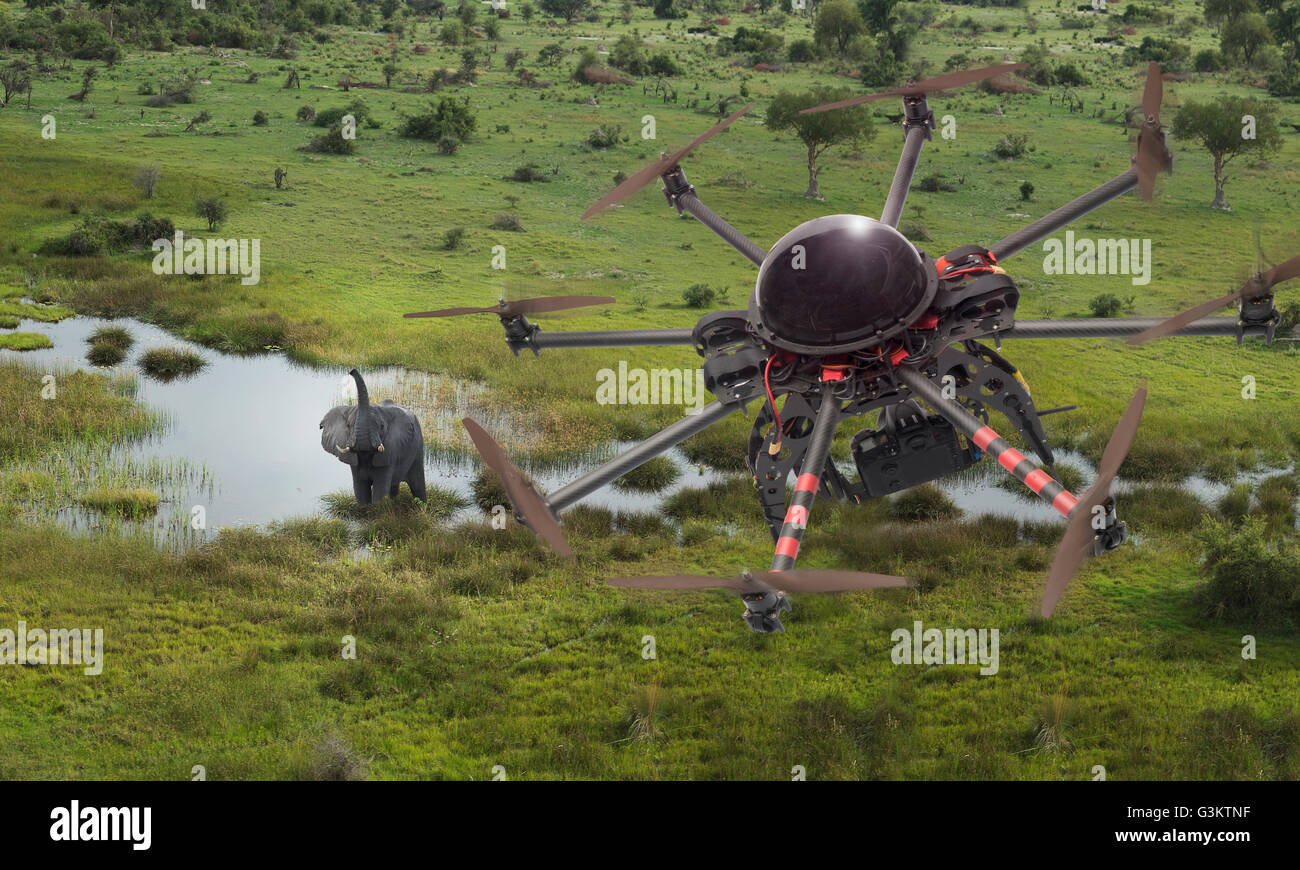 Un alto ángulo de visualización de drone volando sobre el elefante, el delta del Okavango, Botswana Foto de stock