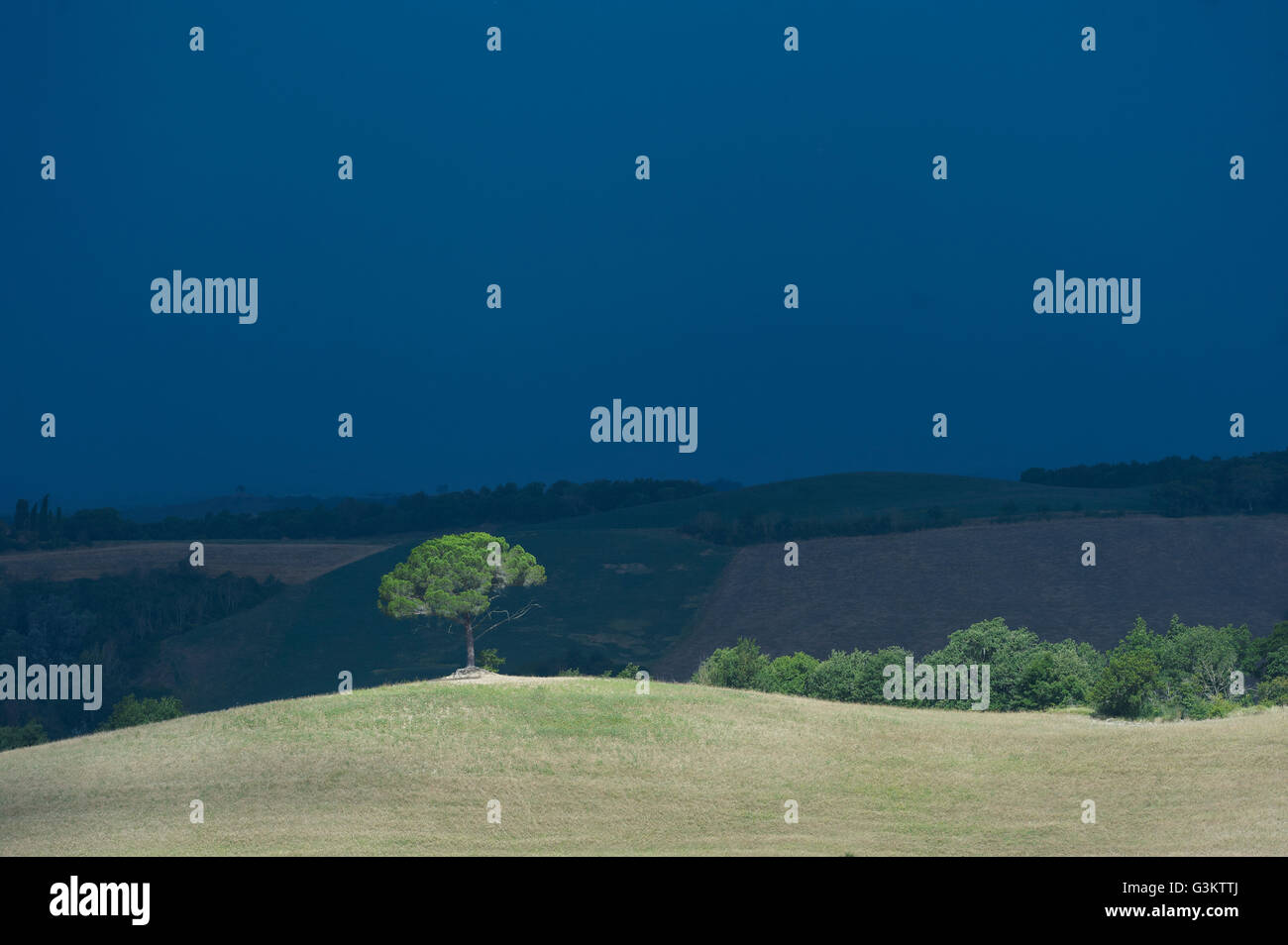 Vista escénica, Buonconvento, Toscana, Italia Foto de stock