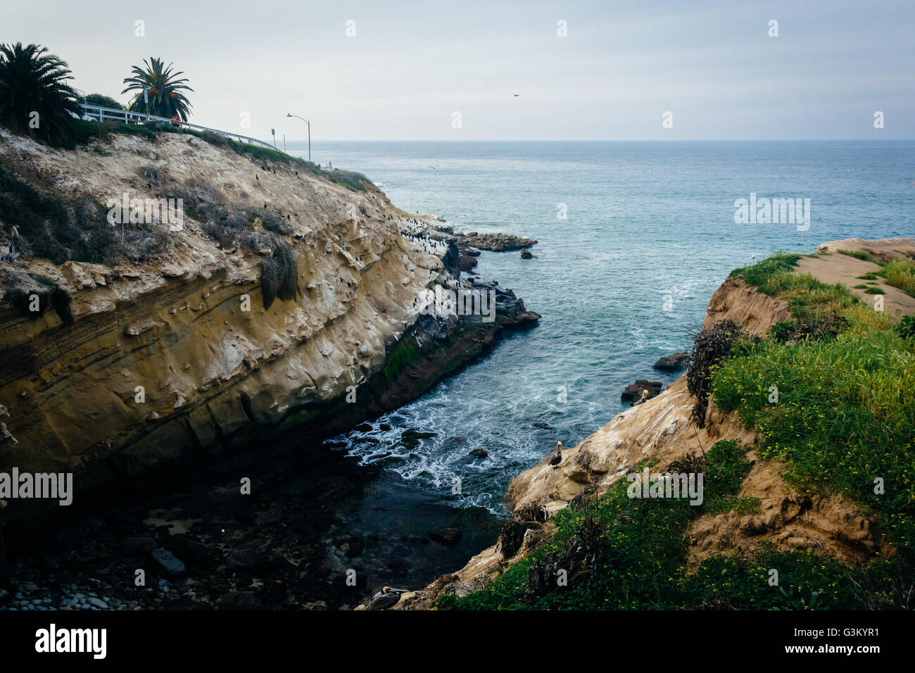 Vista de la rocosa costa del Pacífico en La Jolla, California. Foto de stock