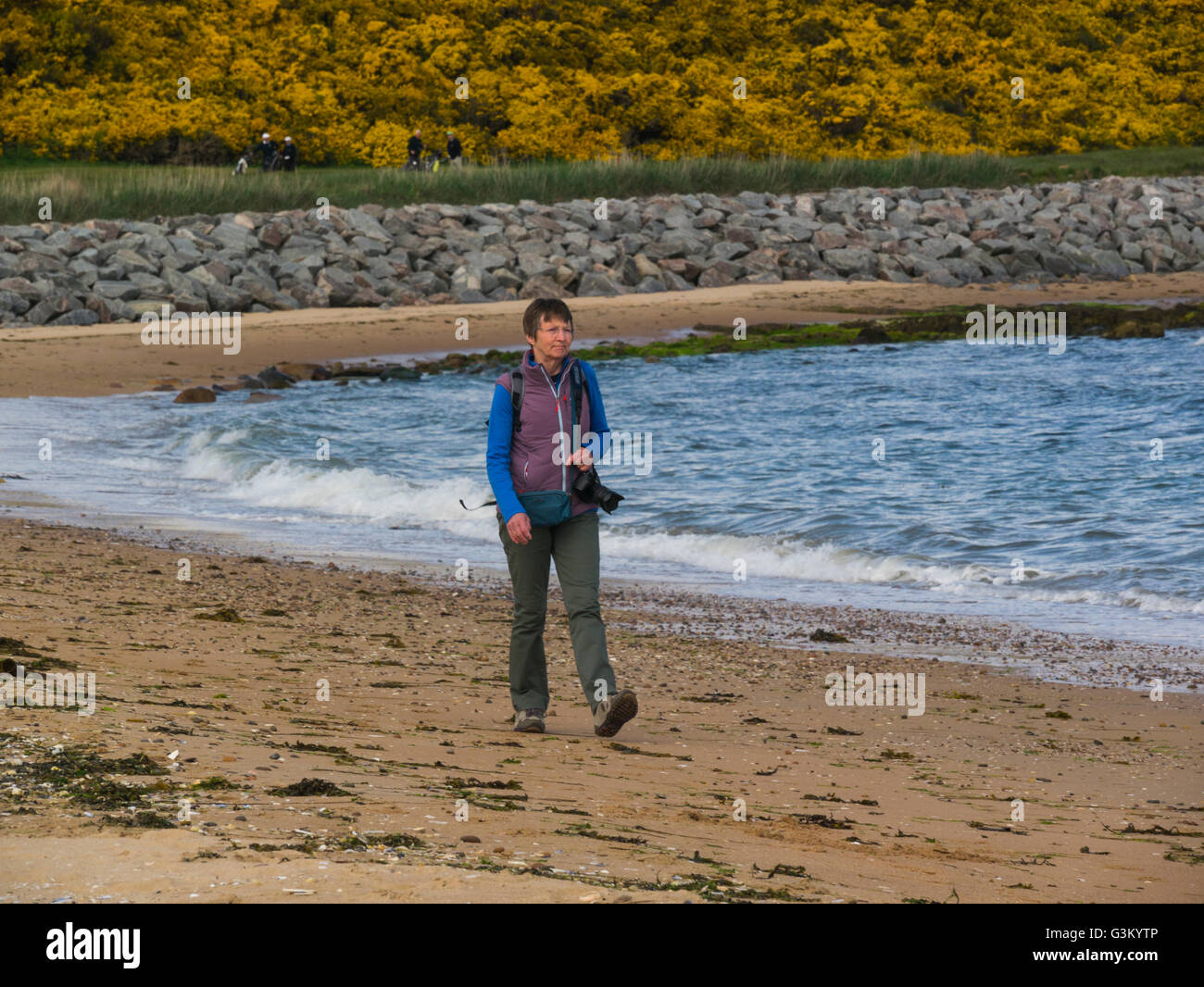 Walker femenino en Dornoch playa Sutherland Highlands Escocesas en North Shore de Dornoch Firth Foto de stock