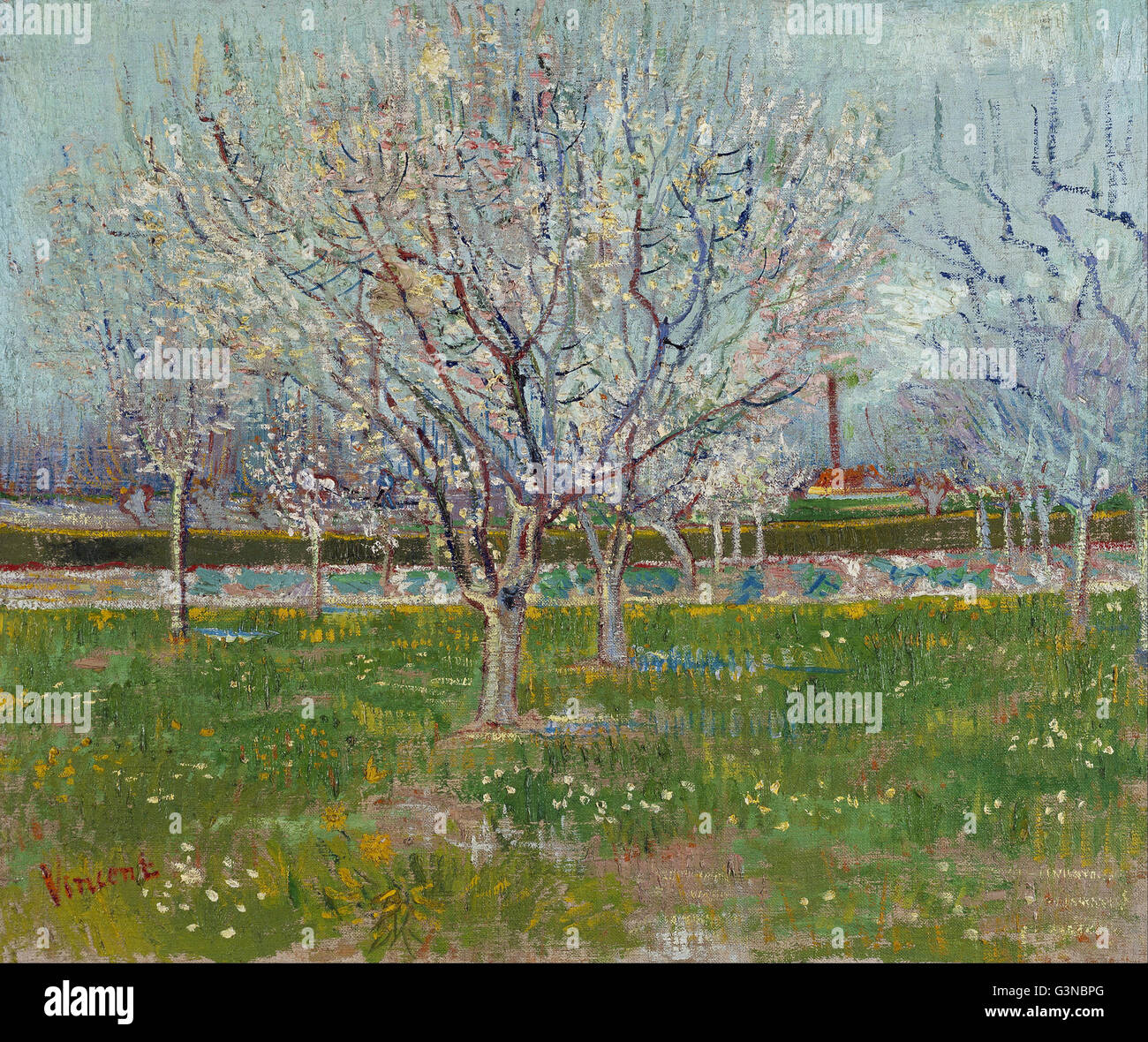 Vincent van Gogh - huerto en flor (Ciruelos Fotografía de stock - Alamy