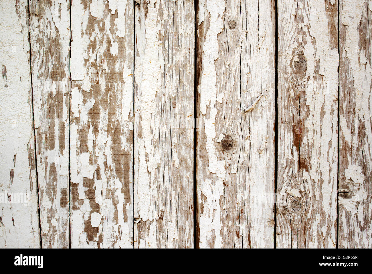 Pintura blanca pelando la pared de madera, los tablones de madera textura  obsoletos Fotografía de stock - Alamy