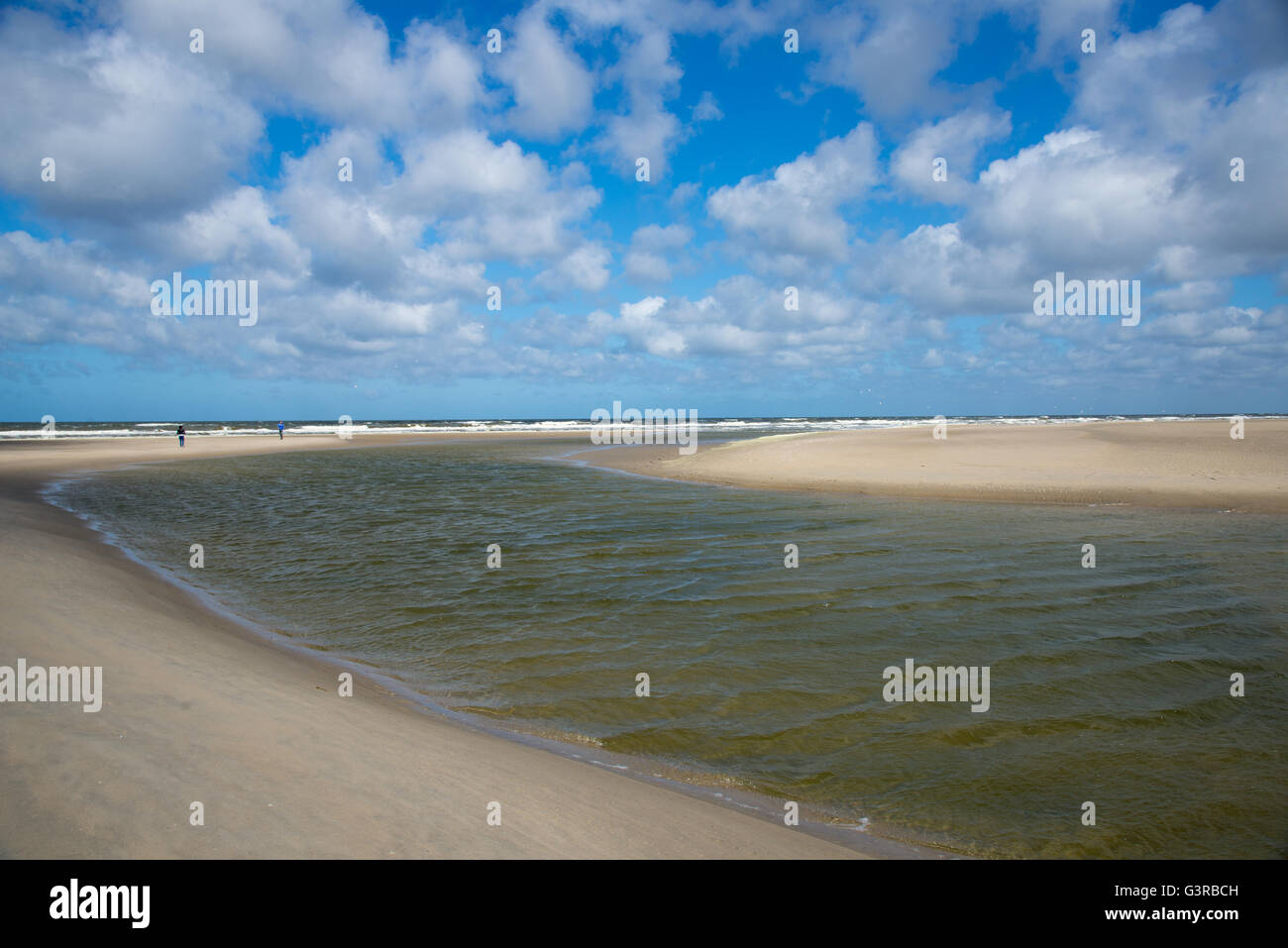 Playa slufter texel en Holanda Foto de stock