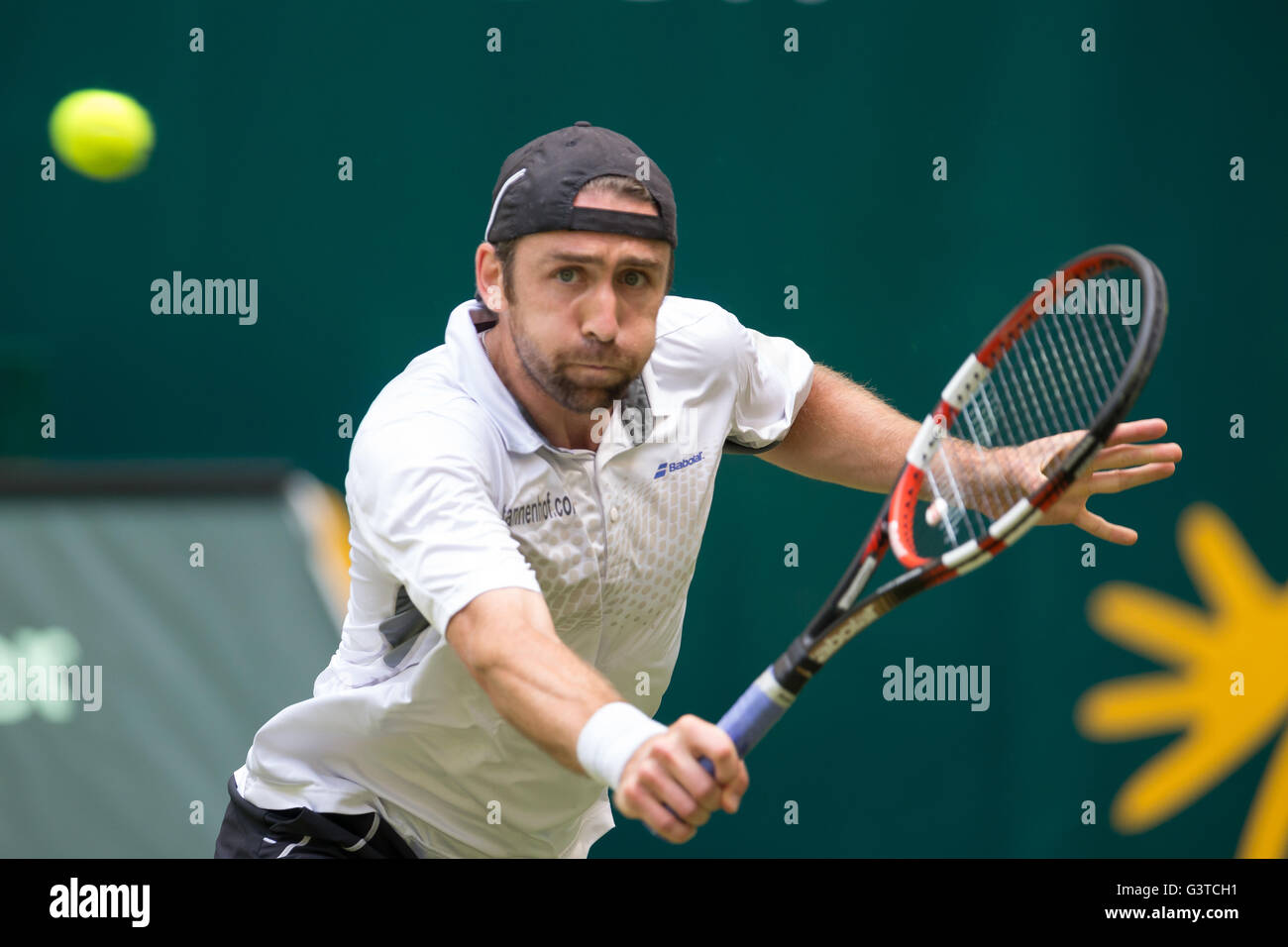 Halle, Alemania. El 15 de junio, 2016. Los 2 alemanes Alexander Zverev y Benjamin Becker están jugando su partido de la segunda vuelta 2016 Gerry-Weber abiertos en Halle, Alemania. Crédito: Janine Lang/Alamy Live News Foto de stock