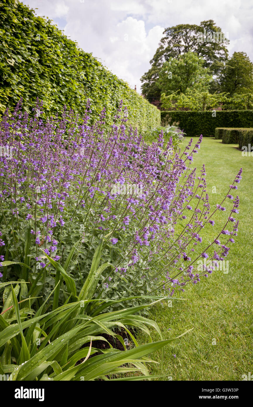 Un jardín campestre inglés formal Foto de stock